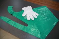 ถุงมือพลาสติกทิ้งแบบแบนสำหรับการแปรรูปอาหาร / ใช้ในทางการแพทย์